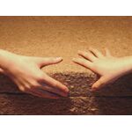 Holzfaserd&auml;mmplatte STEICO flex 038 1220x575x 60mm/ Pack 5,612m&sup2; (Selbstabholung 3130 Herzogenburg)