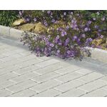 Raseneinfassungsstein N+F mit Fase 100 x 20 x 5cm (Lieferung)