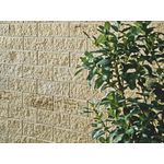 Friedl Faro Zaun- und Mauerstein 40 x 20 x 15cm