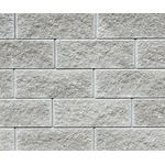 Friedl Abdeckplatte Gutshof 30 x24 x 7,5cm / St&uuml;ck gau