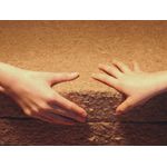 Holzfaserd&auml;mmplatte STEICO flex 038